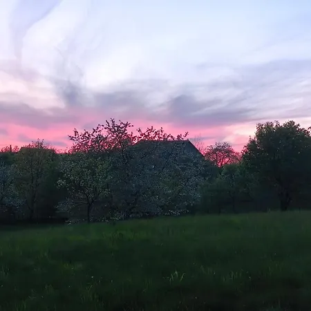 Na Pasekach U Lesa Radost ゲストハウス Osvětimany