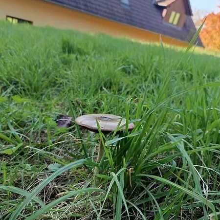 Na Pasekach U Lesa Radost ゲストハウス Osvětimany